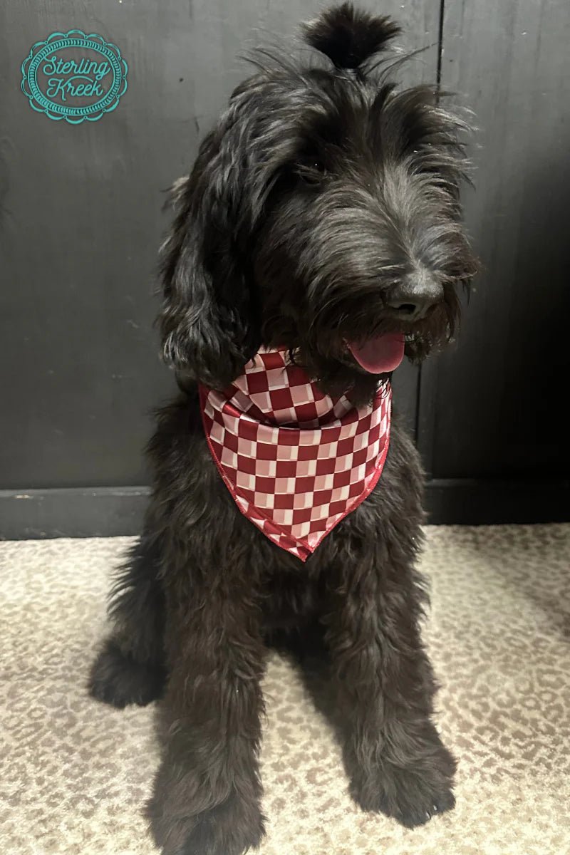 Kids Sterling Kreek Pep Rally Maroon Wild Rag